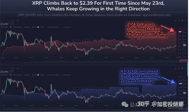XRP冲破SOL美元大关，牛市是否已来临？-开云